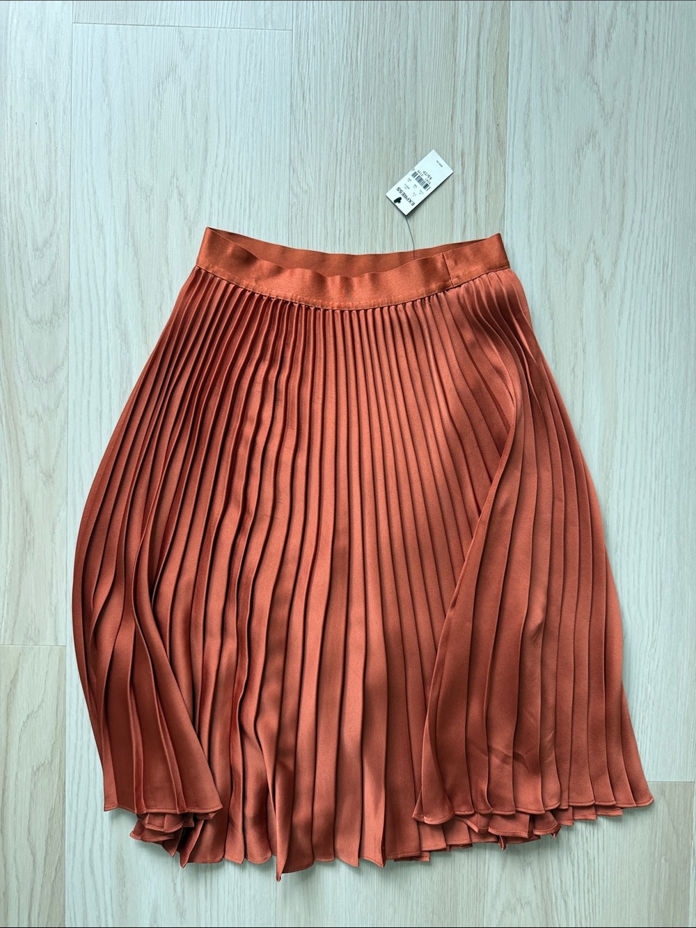 Pleated Rust Orange Women's Skirt by express sz XS NWT